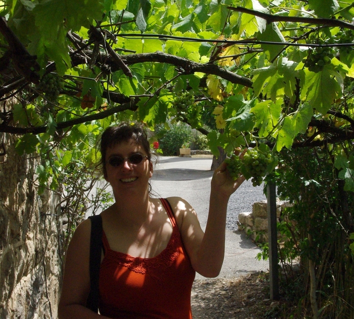 2009-07juli-30-Frankrijk-druiven.jpg
