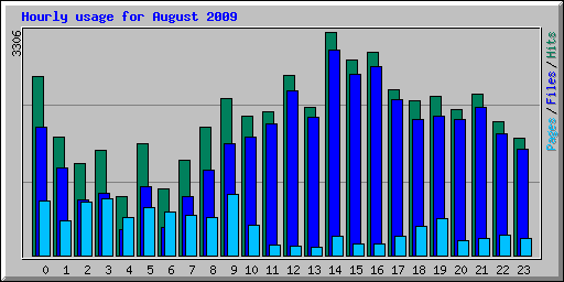 Hourly usage for August 2009