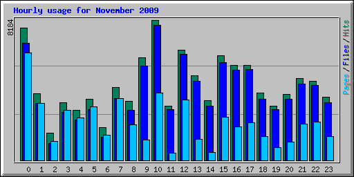 Hourly usage for November 2009