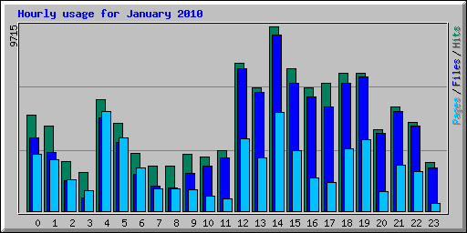 Hourly usage for January 2010