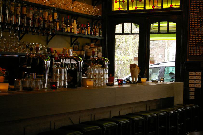 De bar van café Ledig Erf