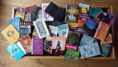 Alle boeken van Dorrestein.