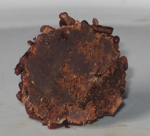 Spicetruffel, doorgesneden