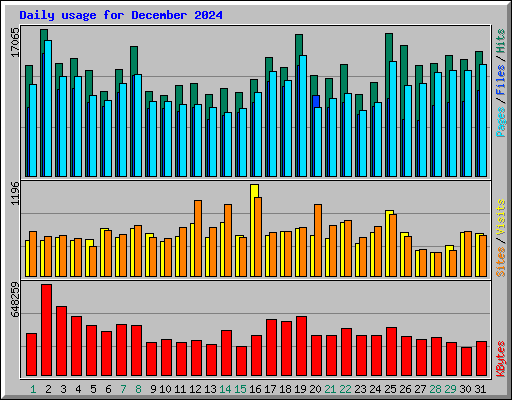 Daily usage for December 2024