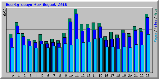 Hourly usage for August 2016