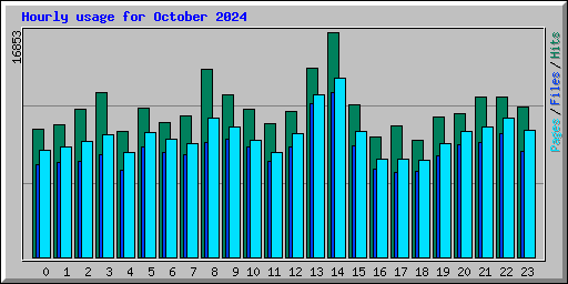 Hourly usage for October 2024