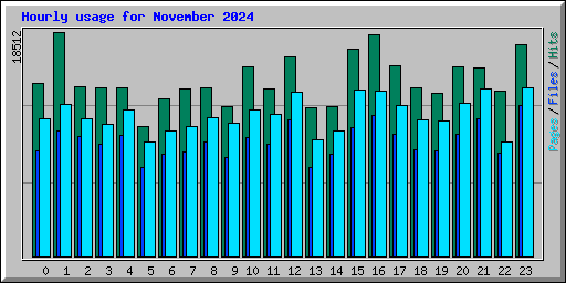 Hourly usage for November 2024