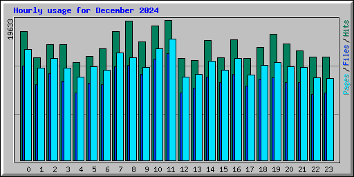 Hourly usage for December 2024