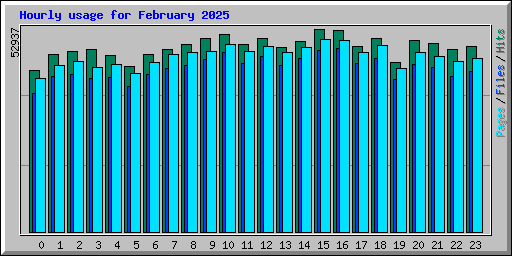 Hourly usage for February 2025