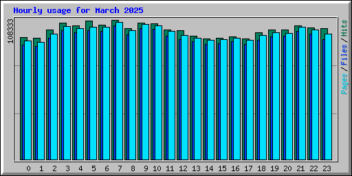 Hourly usage for March 2025