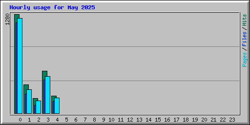 Hourly usage for May 2025