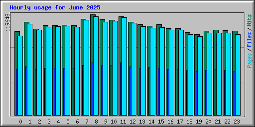 Hourly usage for June 2025