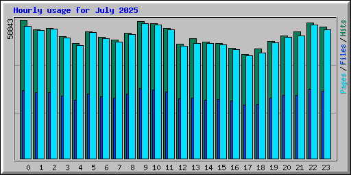 Hourly usage for July 2025