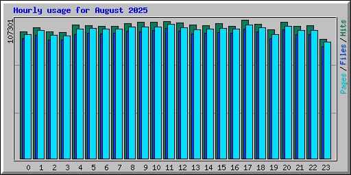 Hourly usage for August 2025