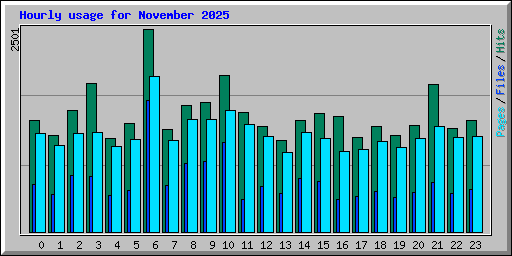 Hourly usage for November 2025