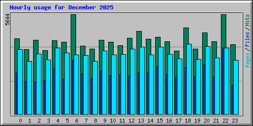 Hourly usage for December 2025