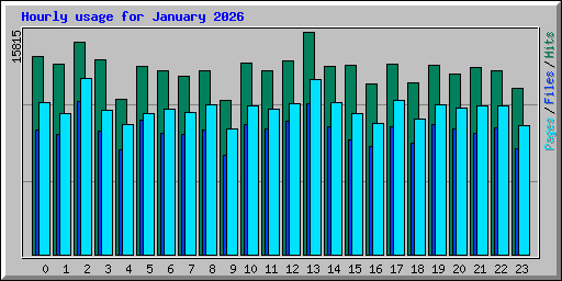 Hourly usage for January 2026