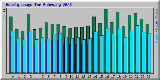 Hourly usage for February 2026
