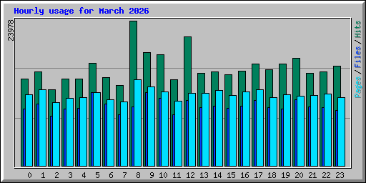 Hourly usage for March 2026