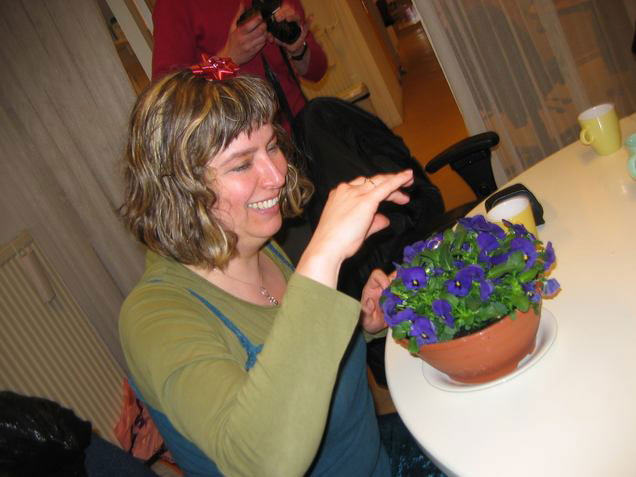De oude ringen bij viooltjes